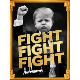 Sample of the Baby Trump Fight Card